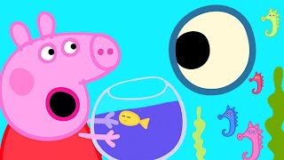 Peppa Pig Português Brasil | Nadando e Aquário | HD | Desenhos Animados