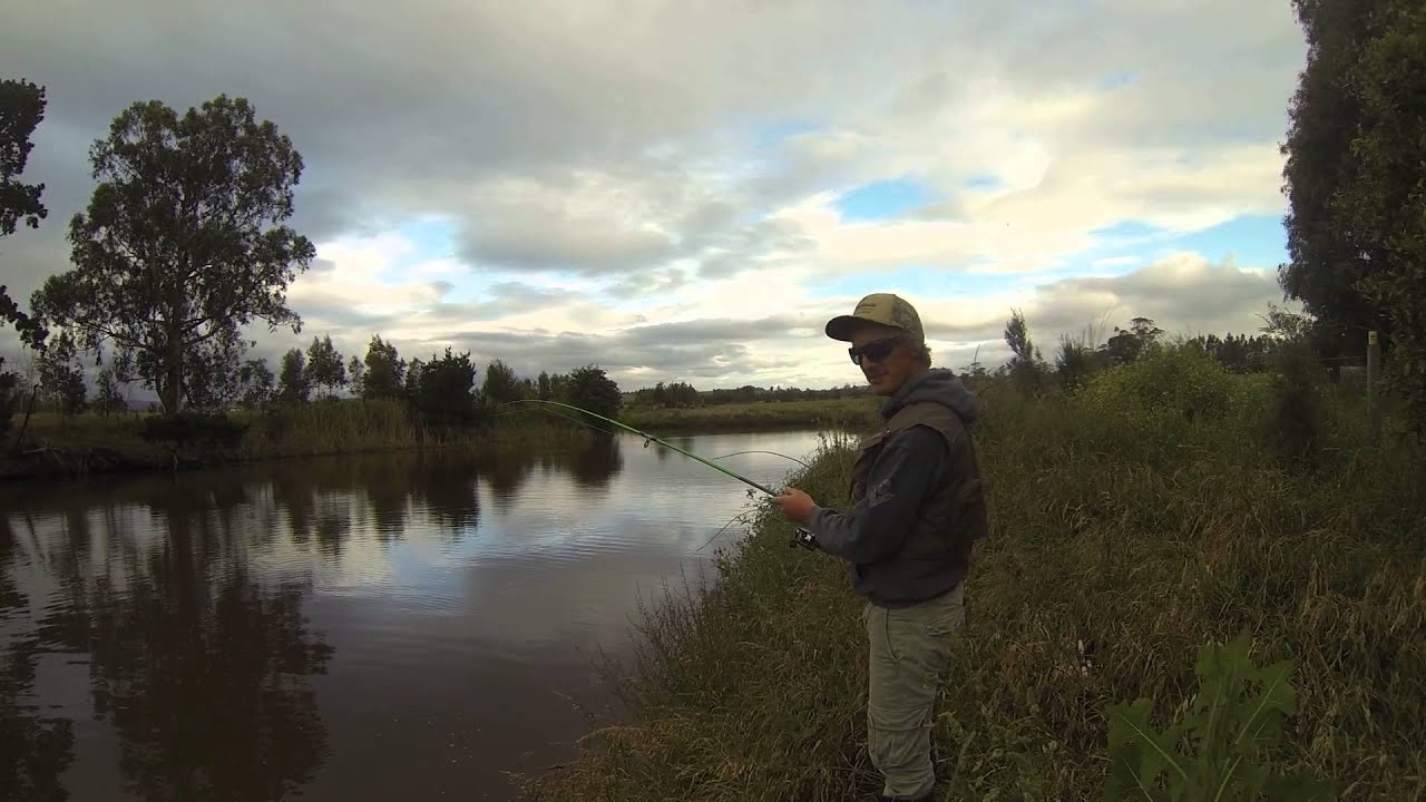 Carp Fishing Victoria YouTube