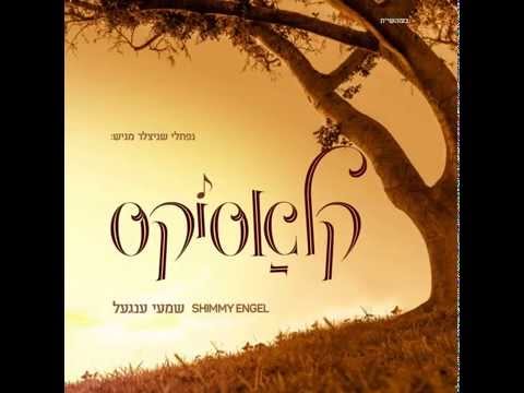 שימי אנגל | מדוע | Madua I Shimmy Engel