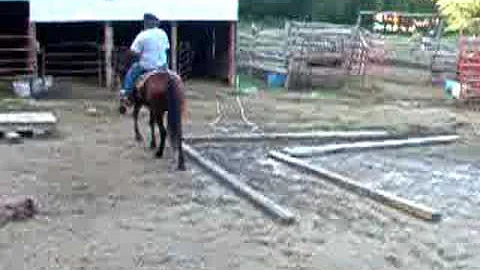 Robin showing his horse for challenge 08