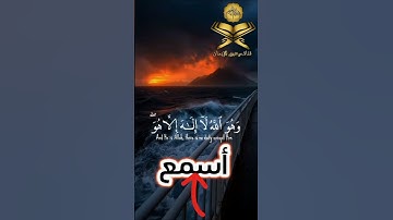 ﴿ وَهُوَ اللَّهُ لَا إِلَٰهَ إِلَّا هُوَ ۖ لَهُ الْحَمْدُ #سورة_القصص#ياسر_الدوسري #قرآن #قران_كريم