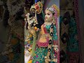 Radhe Radhe ♥️🥰🙏#radhakrishna#krishna#krishnwold#viralreels#radharani#viral#dwarka#dwarkadhish#love