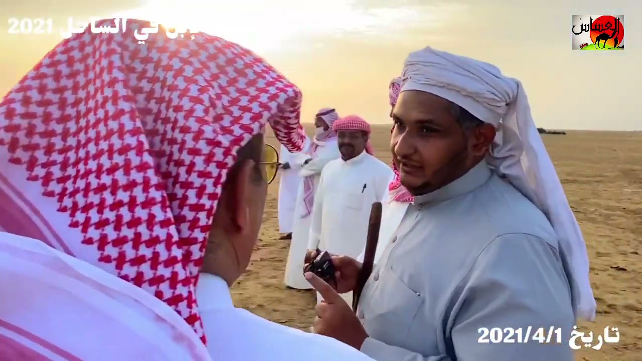 الحلقة الثانيه من مطلاة الإبل مع المالك/ محمد حمد الفقيه وطريقة دخول الرعايا ورشها وخروجها 1442