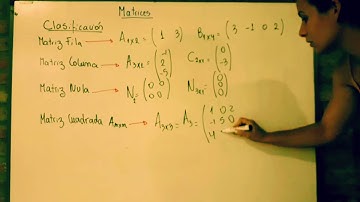 Matrices. Concepto. Tipos. ( Profe Nadia)