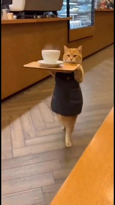 wait for it 😂😂