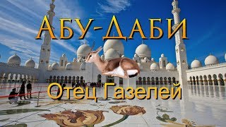 Абу-Даби - &quot;Отец Газели&quot;