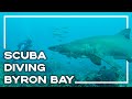 Scuba Diving With Sharks In Byron Bay, Australia 🐠 (GoPro Edit) | Backpacker Banter
