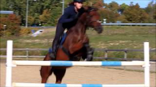 Figge och Moa hoppar 150cm!