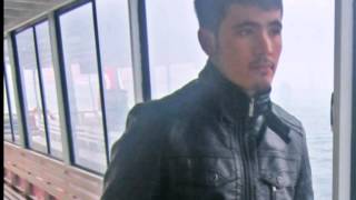 Hoş Çakal Presnes New Mizaç