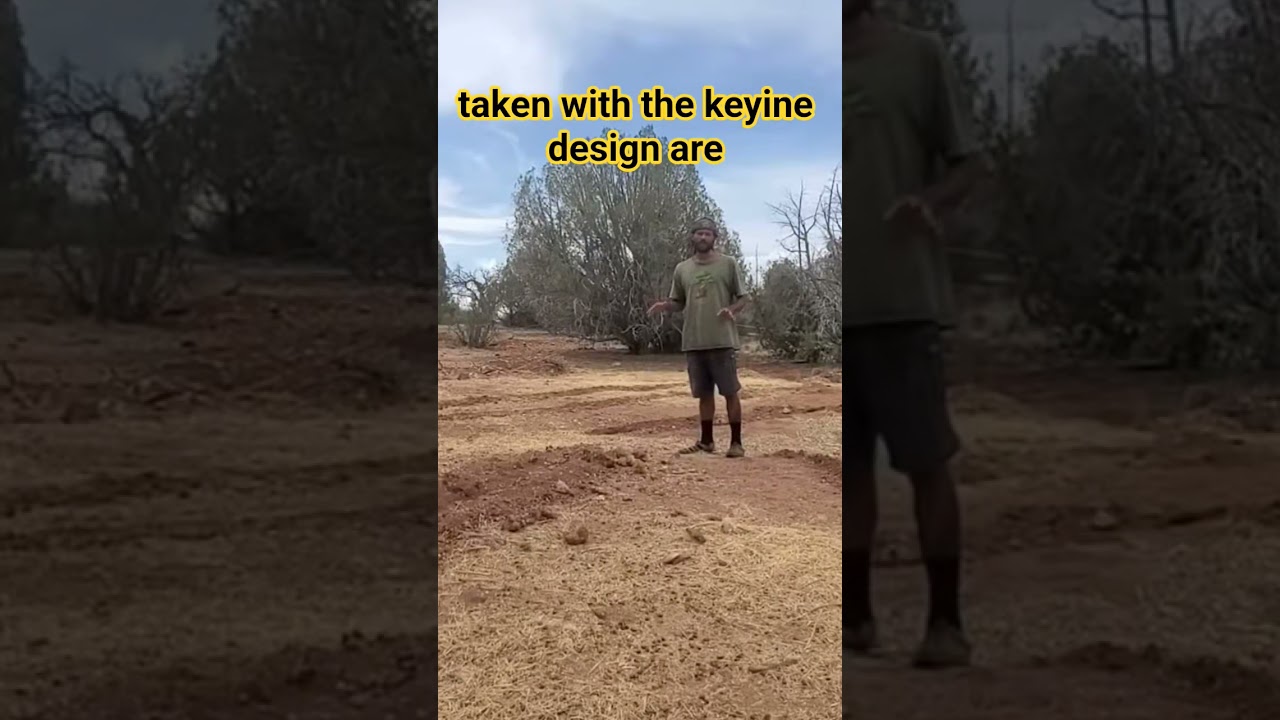 Это должно быть весело.