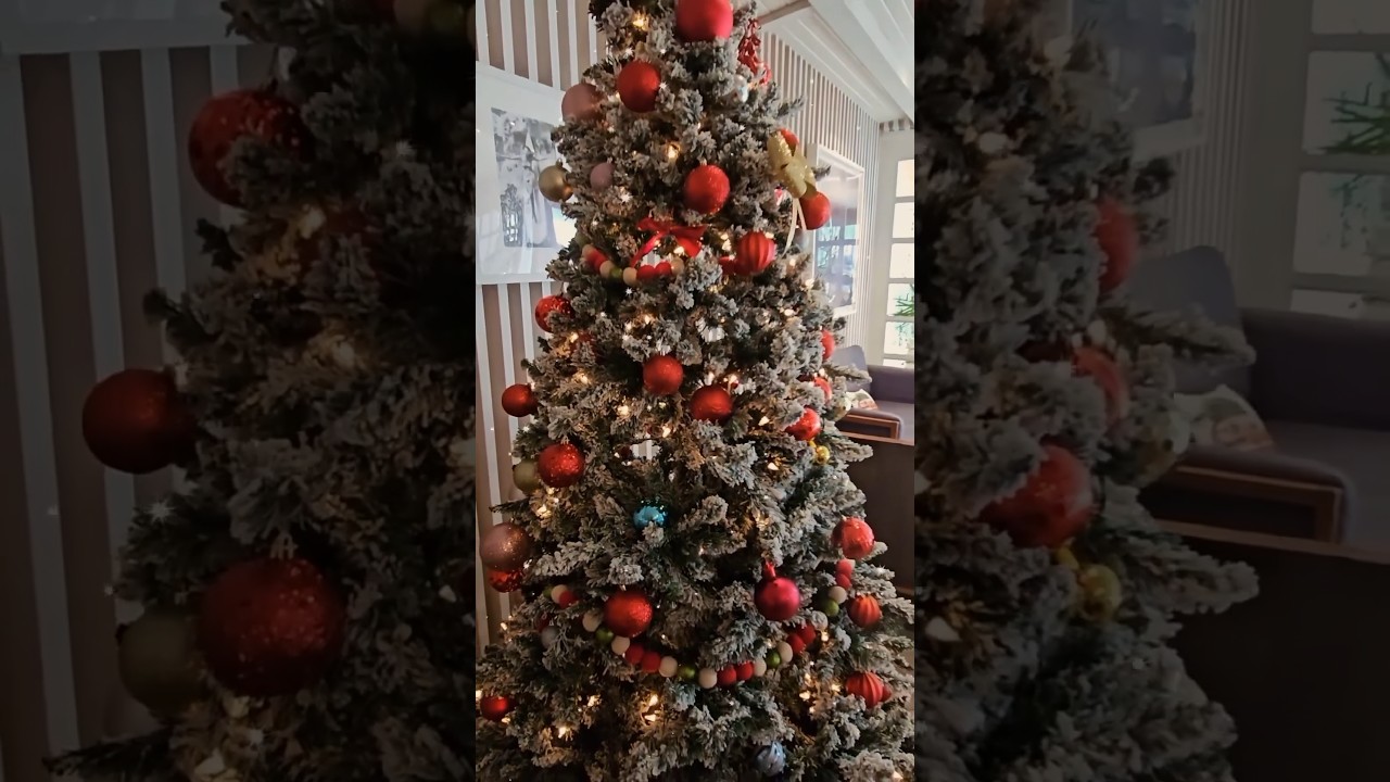 ✨Stunning holiday sparkles at The Leta Santa Barbara Goleta