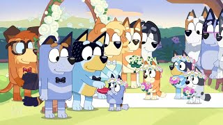 Bluey: The Sign but Blue Heeler \& her friends Cutest Moments || I edits Fav Scene