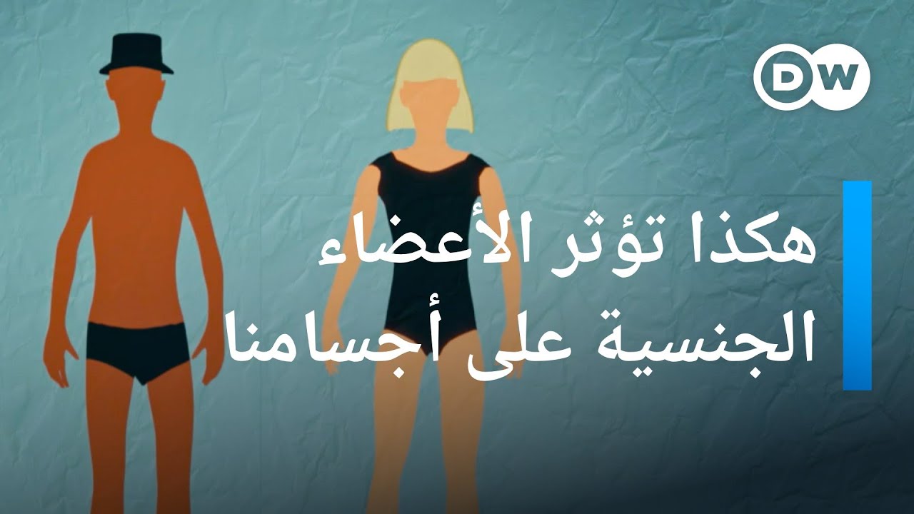 كيف تتطور الأعضاء الجنسية؟ | صحتك بين يديك