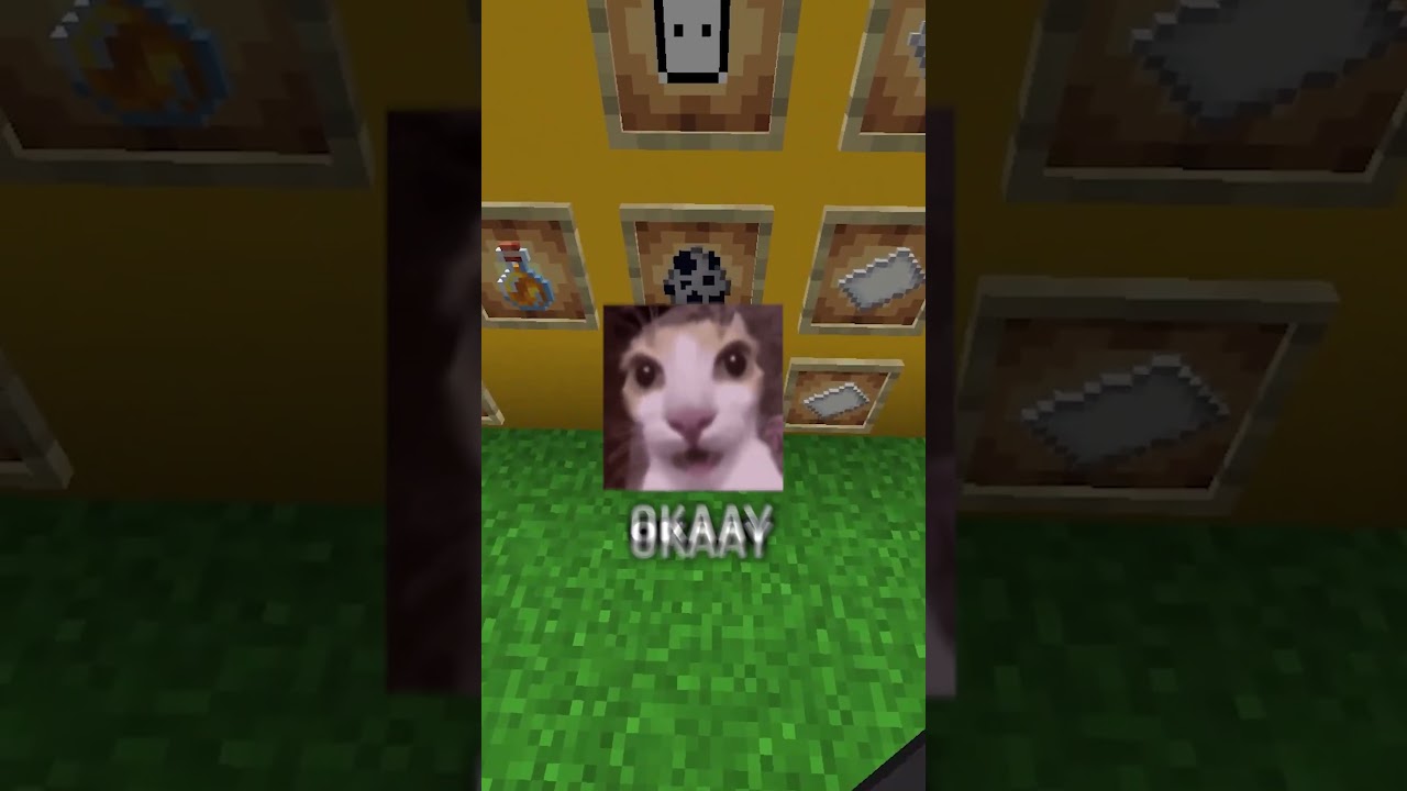 Pollo contra su NOVIO #minecraft #shorts