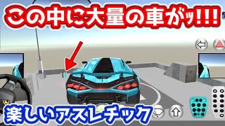【3D運転教室】#5　吾が輩の手に掛かればこんなアスレチックコースは余裕のﾖｯﾁｬﾝｲｶだ。 screenshot 4