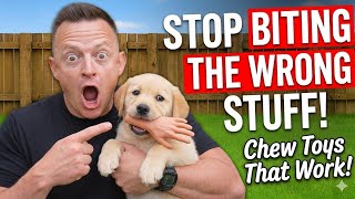 How to STOP Puppy Biting In SECONDS!  #USADogs