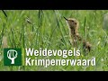 Weidevogels verdienen een toekomst