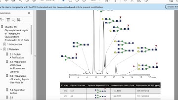 Glycosylation Analysis of Therapeutic Glycoproteins Produced in CHO Cells