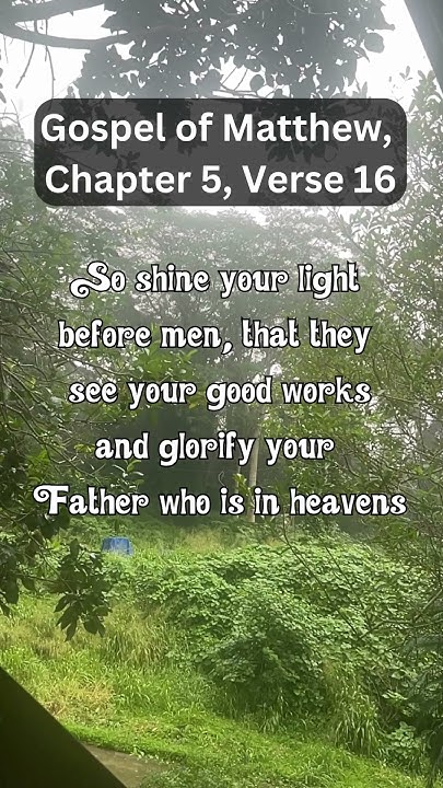 gospel-of-matthew-chapter-5-verse-16-shorts-youtube