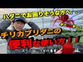 【いちご育て方】追加放出！！農薬を使わず、ハダニを即捕食する方法。｜チリカブリダニの目安｜農家の一日。