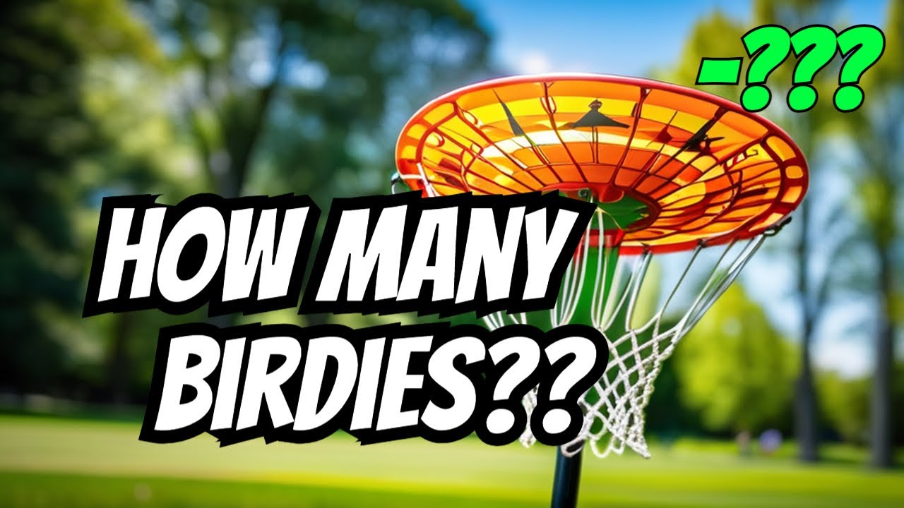 The BIRDIE frenzy at Waller Mill Park!? - Disc Golf