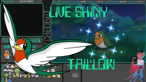 [Live] Shiny Taillow at 66 Dex Nav Chain | Omega Ruby
