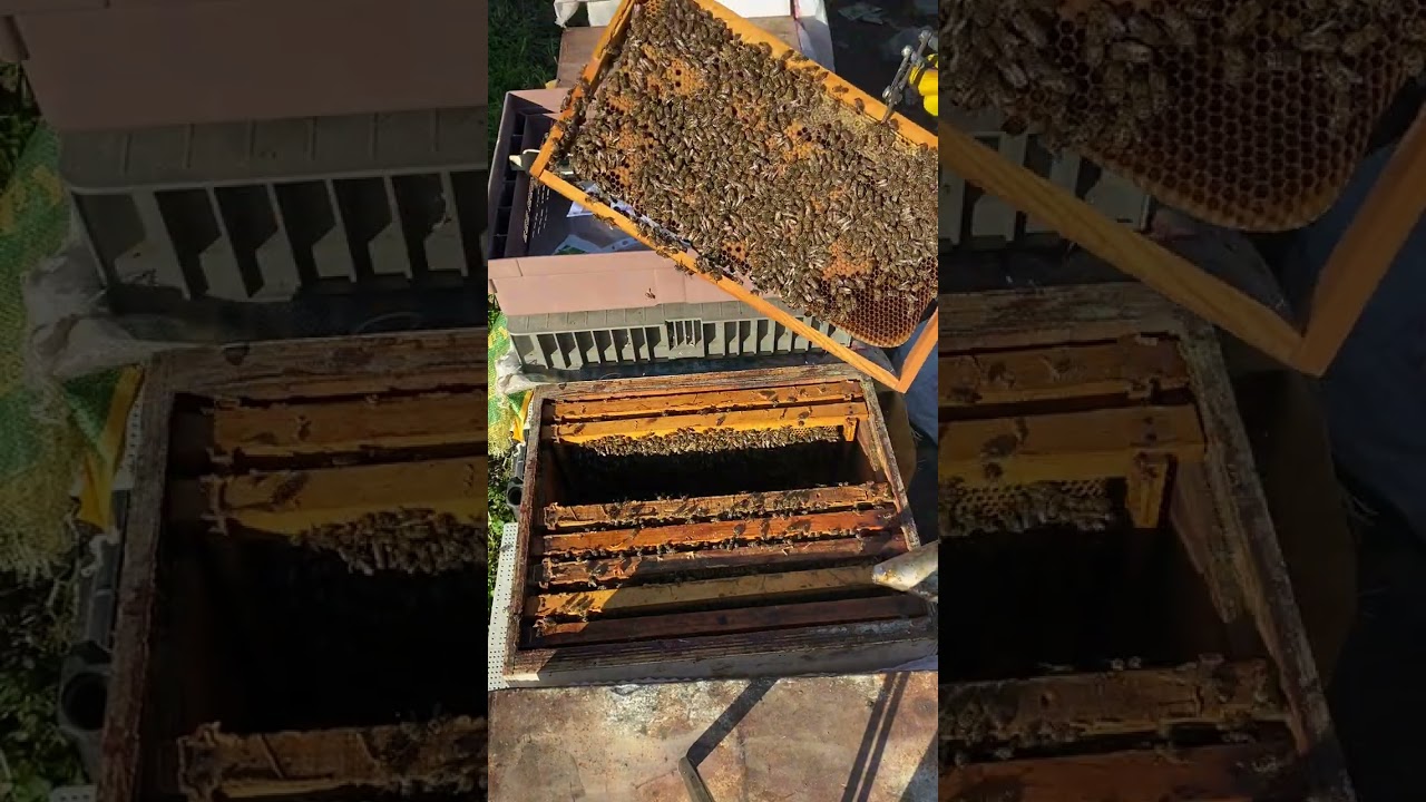 19/02/2026 rutin kovan kontrolü