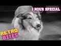 Lassie | 1 Hour Compilation | Lassie English Full Episodes  🐕