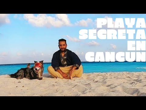 Playa Secreta En Cancun Para Visitar Con Tu Mascota