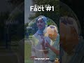 5 Crazy Facts About America That Sound Fake