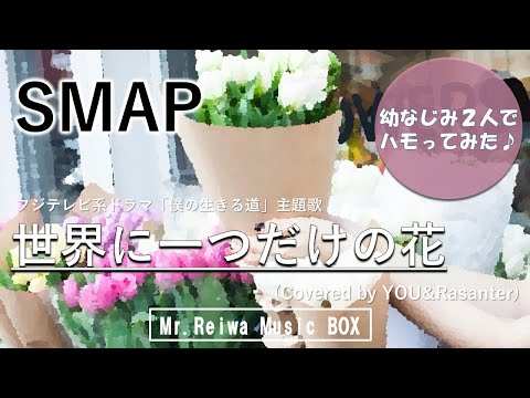 【歌ってみた】世界に一つだけの花　/　SMAP【Coverd by MR.REIWA】