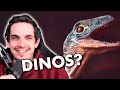 DINOSAURS are fun! | reaction to Don Broco - Fingernails