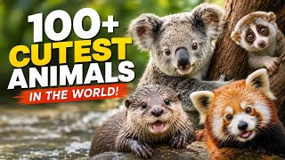 100  CUTEST Animals in the World 🐾🌎 | Amazing Animals for Kids