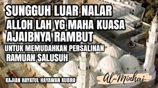 #38 | TIPS RAHASIA CEPAT MELAHIRKAN_METODE ULAMA_kitab hayatul hayawan kubro