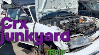 Crx junkyard trip