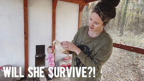 She was injured more than I thought…..