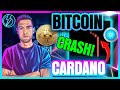 BITCOIN, CARDANO, AND ALTCOINS CRASH (Why Is Crypto Falling?!)