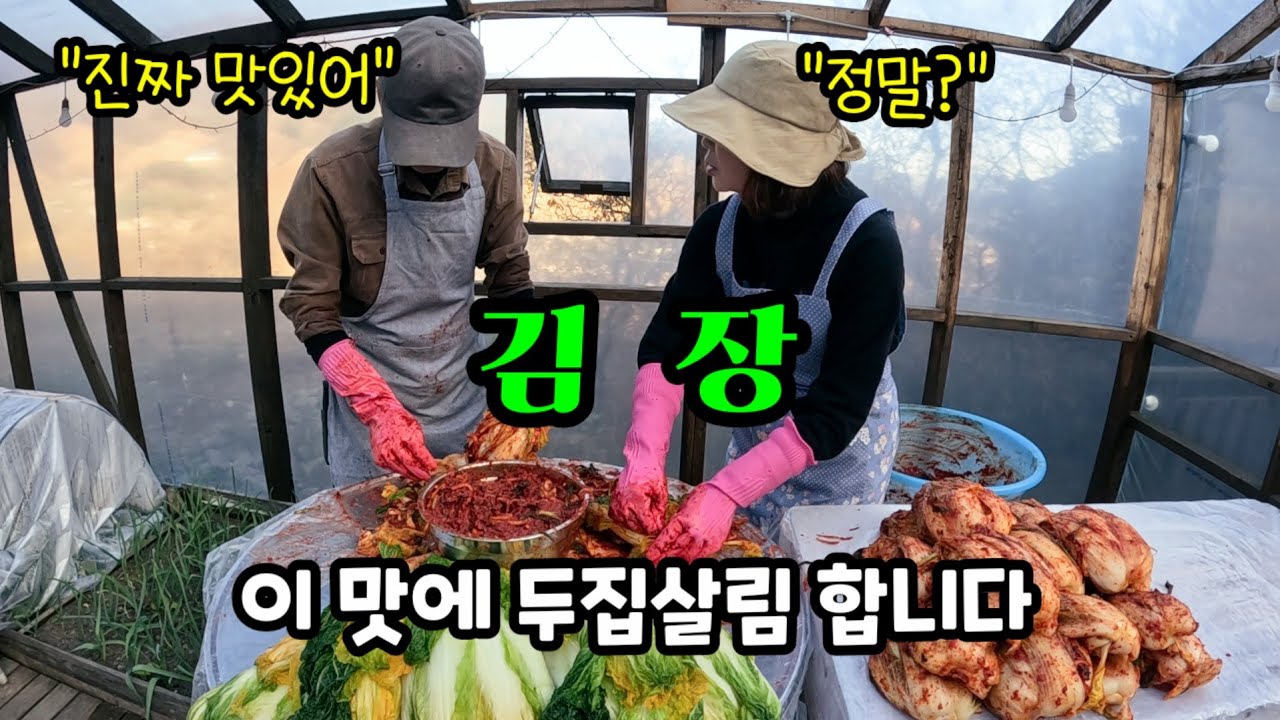 직접 기른 배추로 김장하니 더 맛있다! ✔간단하고 맛있는 김장레시피 / 화덕 훈제삼겹살, 배추전, 소고기 시래기국밥