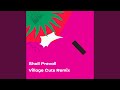 Shall Prevail (Village Cuts Remix)