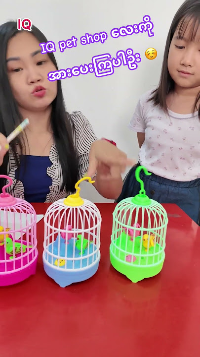 #petshop #iqမမဝိုင်ရဲ့သဲတုံးလေးများ #iqမမဝိုင် #cute #mamay #iqkyinue #funny #birds #cage #မမဝိုင်