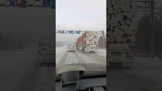 Another Three Cuts - And The Road... Issue 55