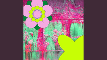 Stellar Backdrops for Illimitable Nights