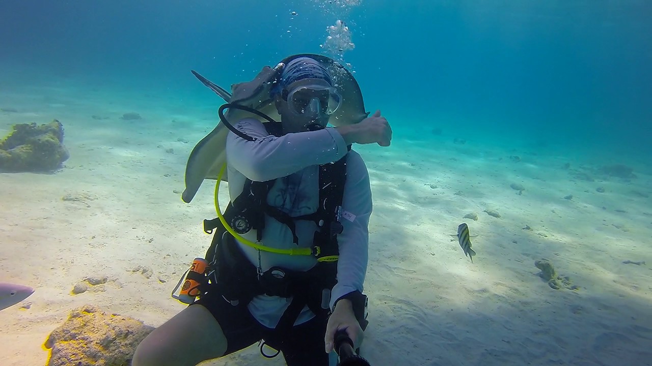 Scuba Diving Grand Cayman Stingray City May 2017 YouTube