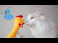 ガーガーチキンが発狂したら猫たちまさかの行動に【ぽしゃっけ】
