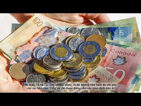 Video: Tin Net Worth hôm nay 2/01/11