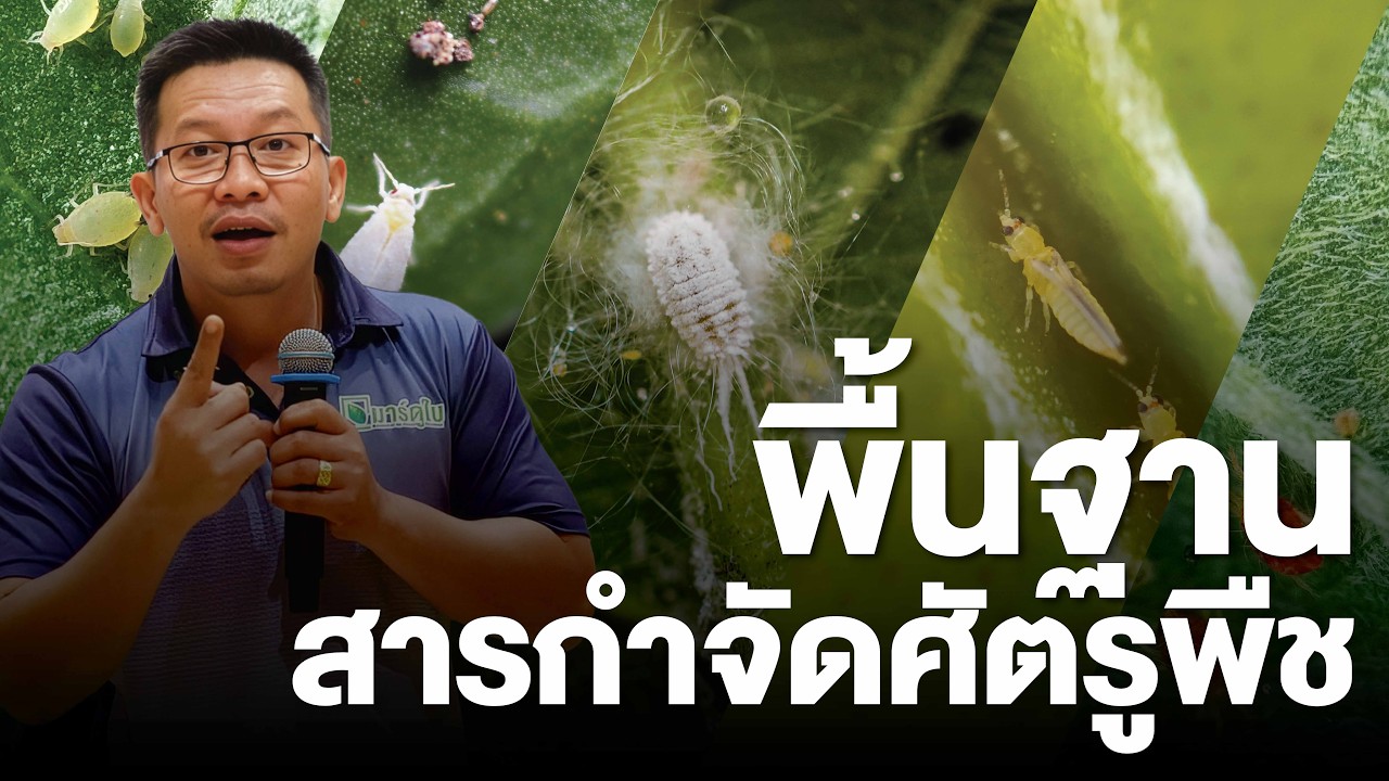 รายชื่อสารกำจัดแมลง และการใช้งานเบื้องต้น | มาร์ดูใบ