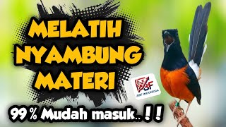 99,9% Cepat masuk ! MASTERAN MURAI BATU FULL ISIAN TEMBAKAN MEWAH‼️