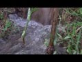 SOUND - น้ำไหล (Sound of water)