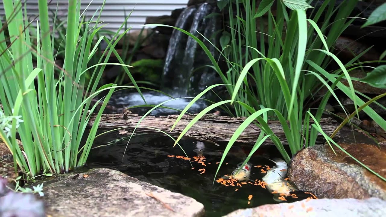 Create Your Own Backyard Oasis - YouTube