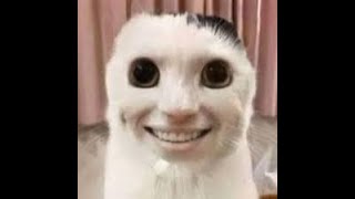 LETS BEAT TOE2 80% 43-100%!